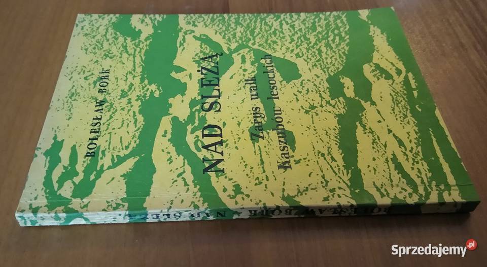 Sleżą Zarys walk Kaszubów lesockich Bolesław pomorskie Gdańsk