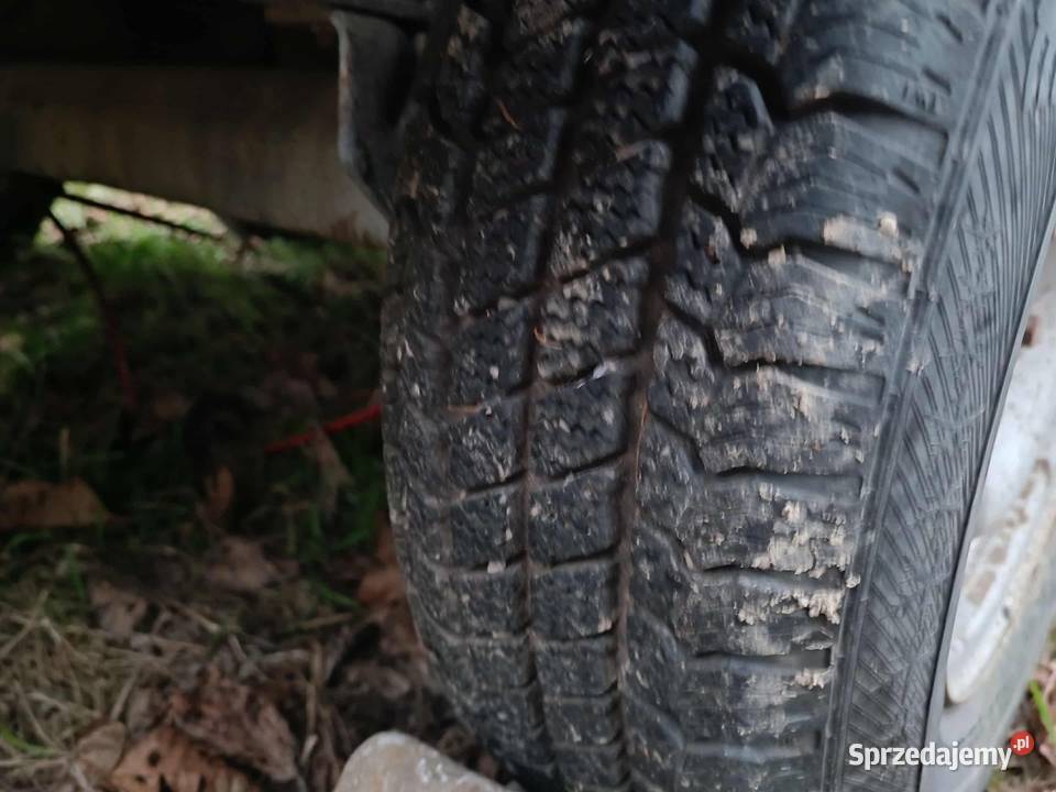 1901 Boeckmann dłużyca przyczepa xxl 2t dmc