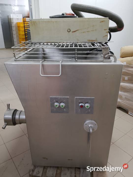 Wilk do mielenia Gastronomia Gastronomia pomorskie