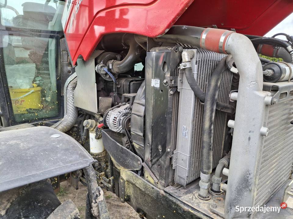 Massey ferguson 5460 Kraśnik