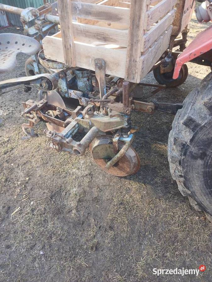 Sadzarka do ziemniaków podkiełkowanych Rybie