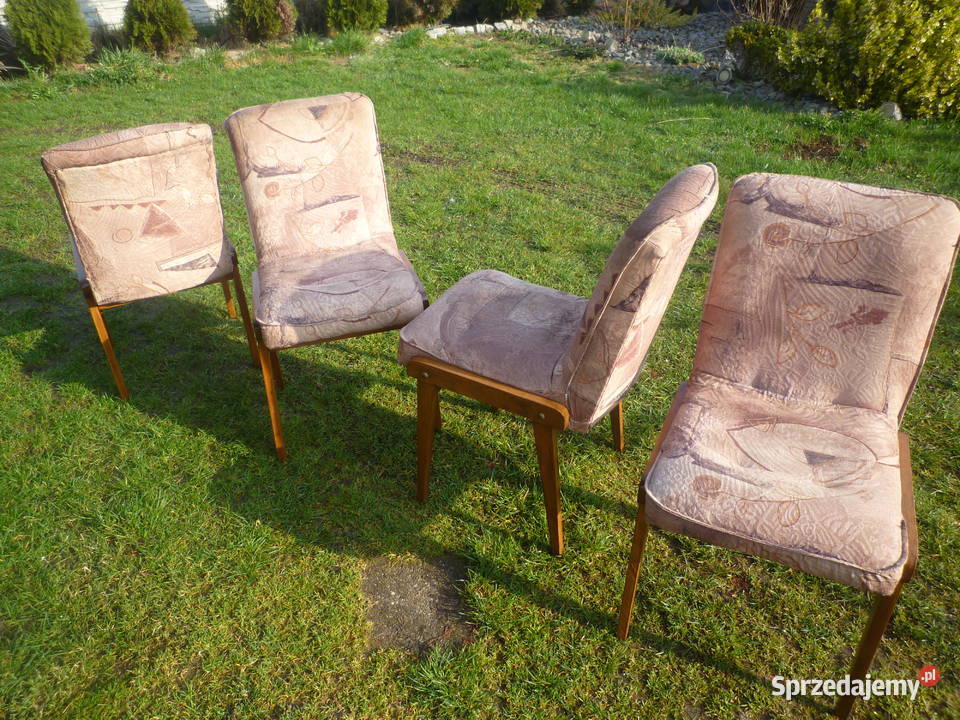 Krzesła Agamuszelki dębowy stelaż Krzesła Ostrzeszów