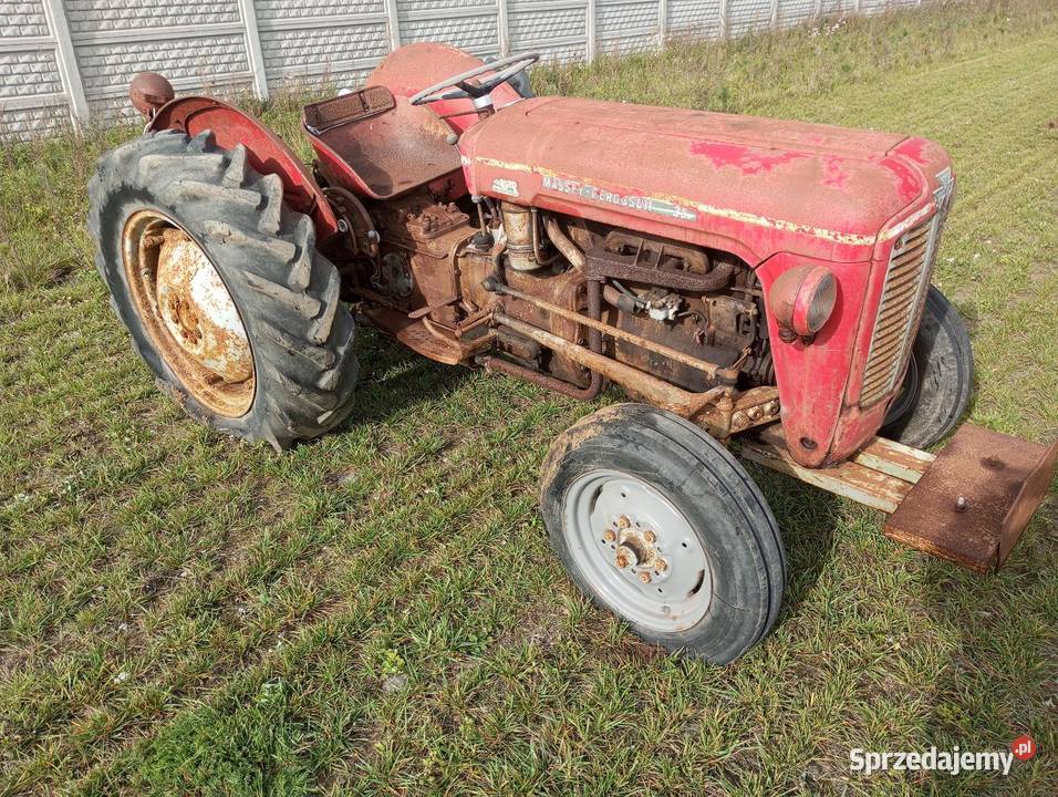 Ciągnik Massey ferguson Buk sprzedam