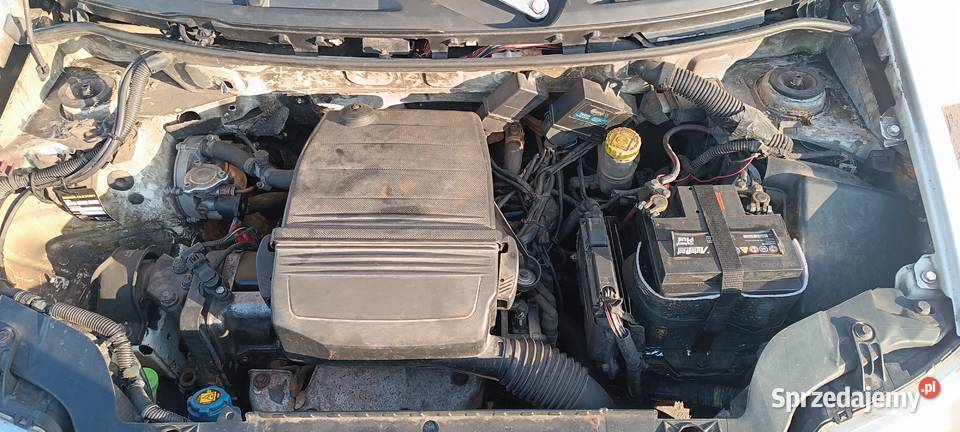 Fiat Panda II BenzynaGAZ silnik 11 Rok produkcji 2005 pomorskie Kościerzyna