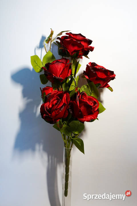 Bukiet róż w kolorze czerwonym śląskie Częstochowa sprzedam