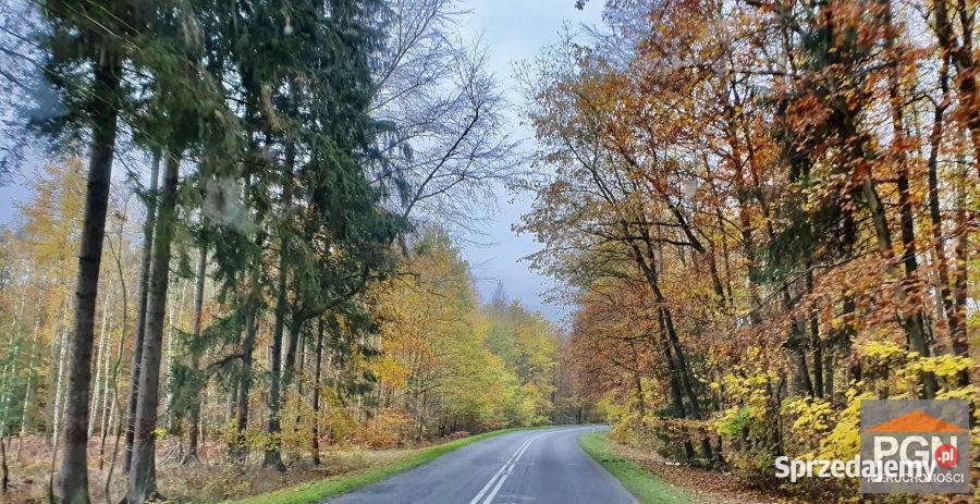 Do sprzedaży działka Gryfice 1722m2 60m