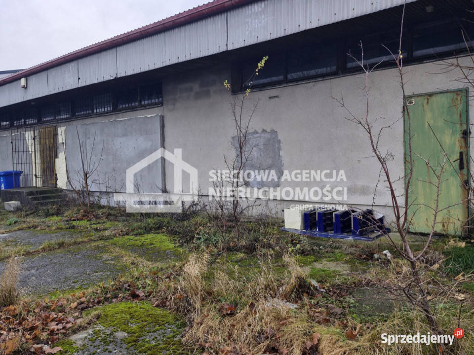 Lokal Skorzewo 250m2 Lokale użytkowe
