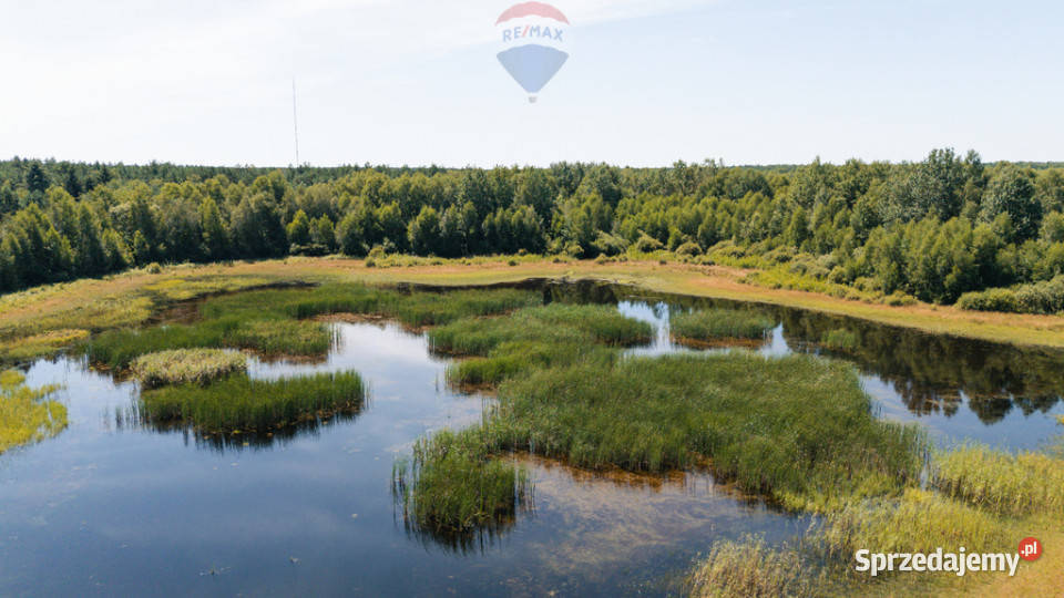 Piękna działka z lasem i oczkiem wodnym Sierpc