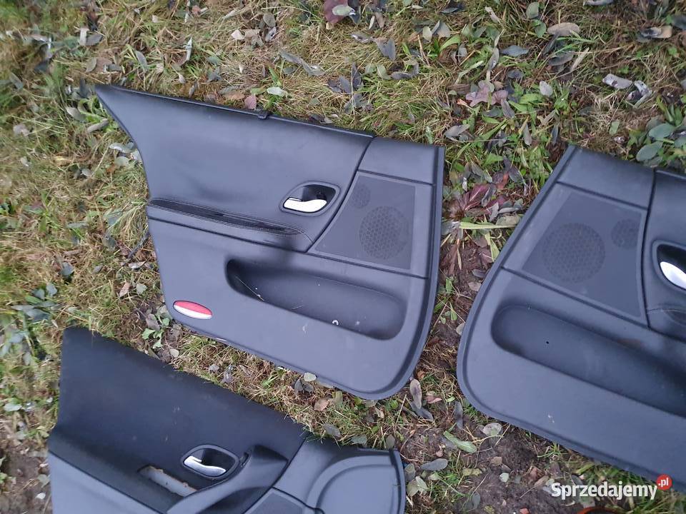 Boczki drzwi skórzane roletki Renault Laguna II Rok produkcji 2004 Kraków