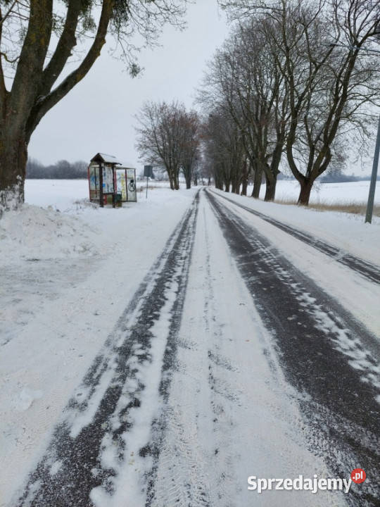 Strzelce Działka do zabudowy siedliskowej Sprzedaż