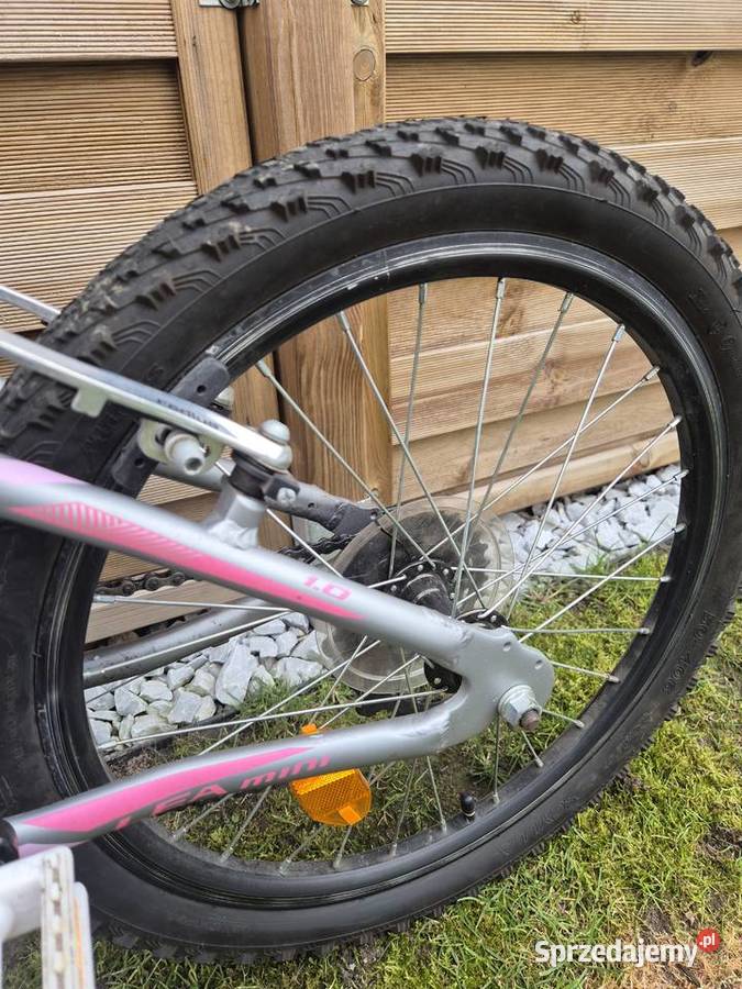 Rower kross 20 całuję dziewczęcy