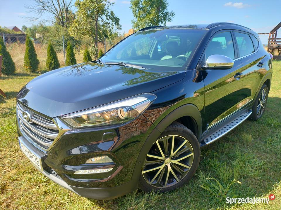 Panoramiczny otwierany DachAuto bez wkładu wielkopolskie Szamocin