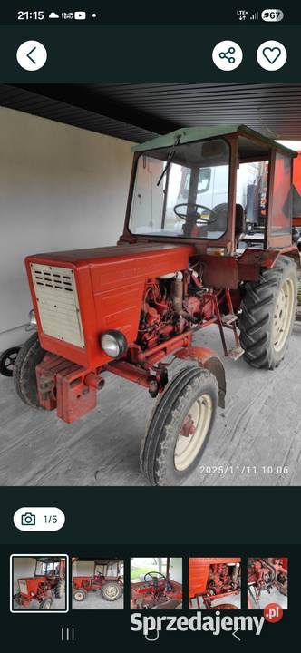 Wladimirec T25 Dziewule