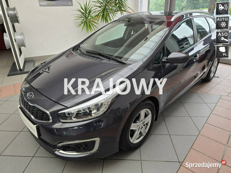 Kia Ceed Lift Krajowy Serwis Niezawodny AUTOMAT małopolskie Tarnów
