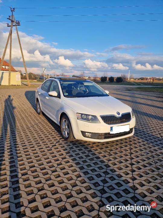 Octavia 3 20TDI Salon Polska Panorama led CANTON Sochaczew