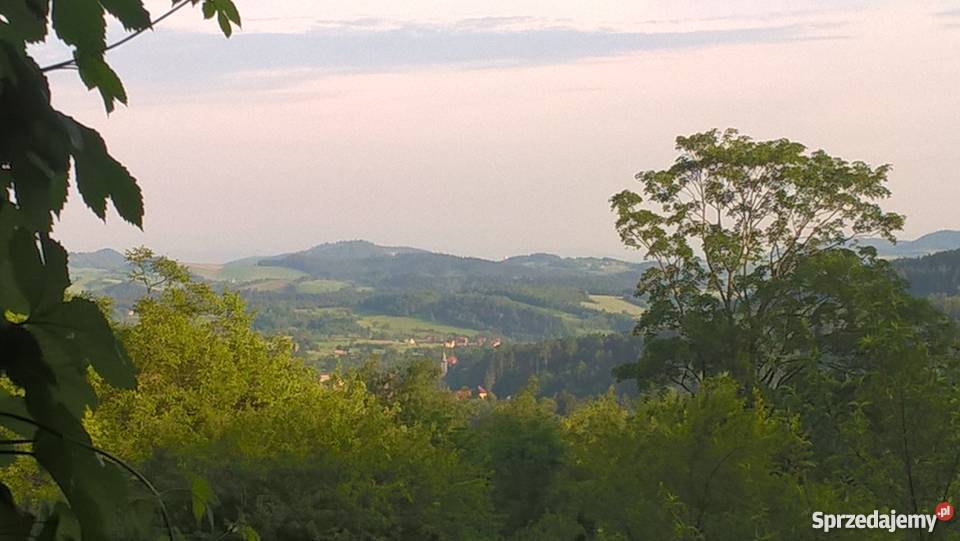 Dom z drewna w Górach Sowich Jugów