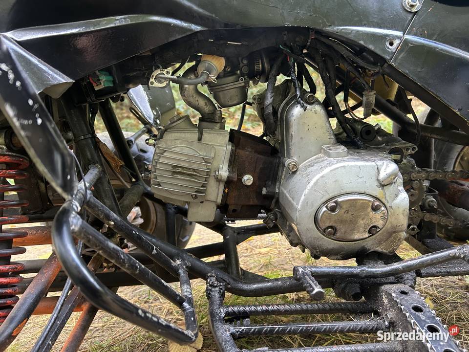 Quad 110 Adamów