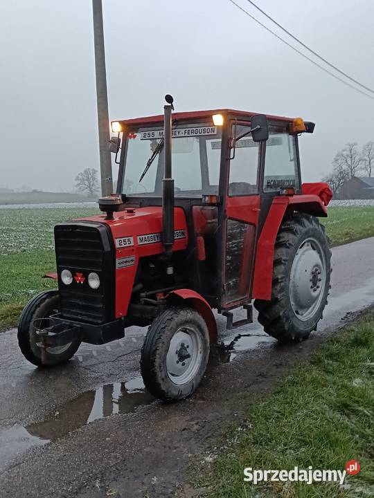 Massey Ferguson 255 Szczawin Kościelny