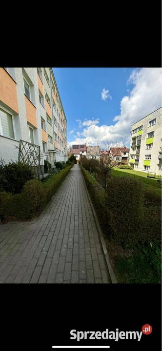 Mieszkanie w górach 3 granicy 3 pokojowe Sprzedaż dolnośląskie Lubawka sprzedam
