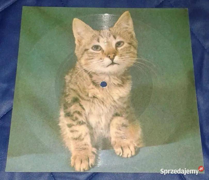 Pocztówka dźwiękowa H Kunicka