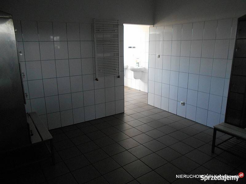 sprzedaży lokalu Obrzycko