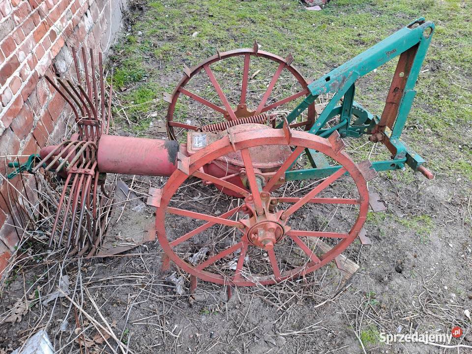 Kopaczka konna sprawna Piękna ozdobą do ogrodu sprzedam