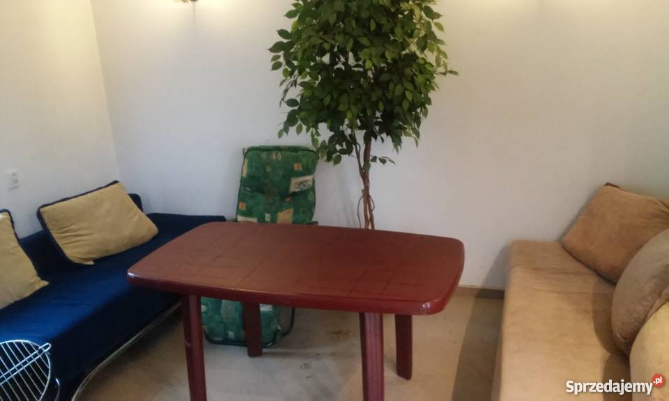 Sprzedam działkę ROD 115 Poznań