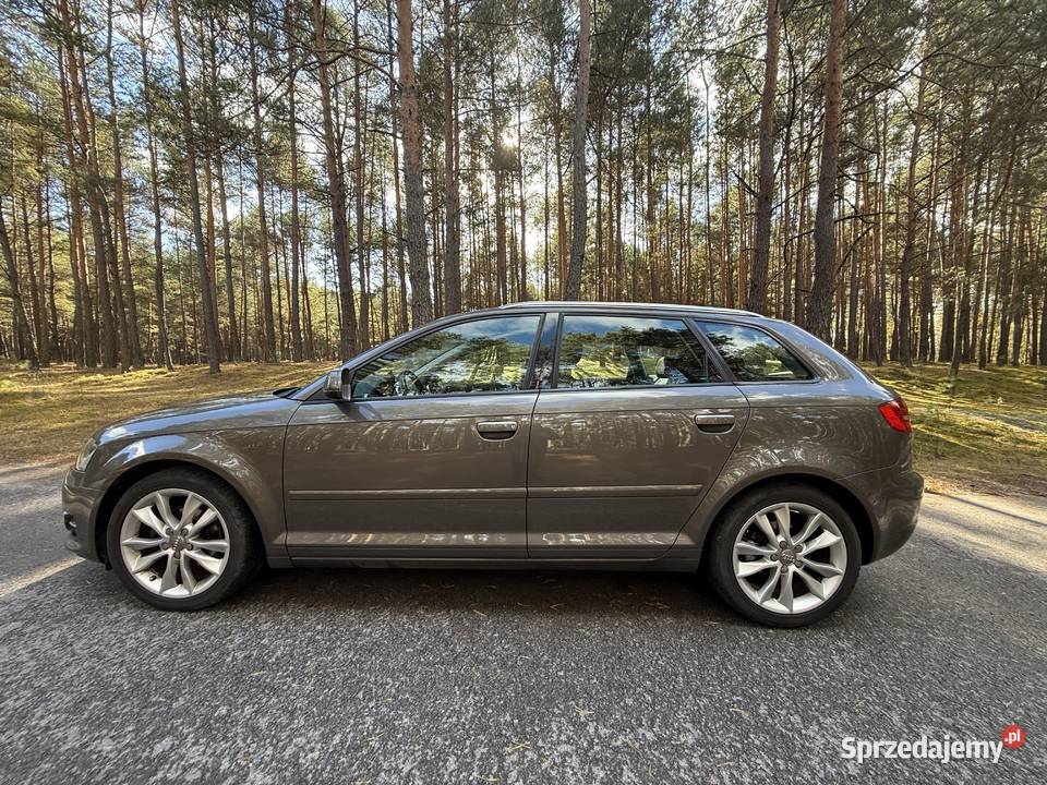 Audi a3 8p 2011r 20 diesel Łasochy