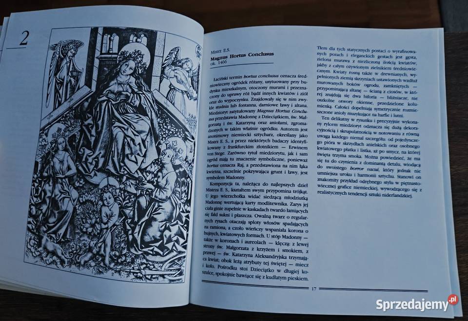 Ogród miłości i 99 innych rycin Hanna Widacka Warszawa sprzedam