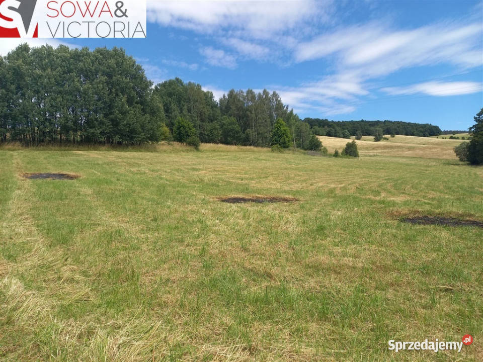 Ekspozycja południowo zach prąd już dostępny dolnośląskie Głuszyca sprzedam