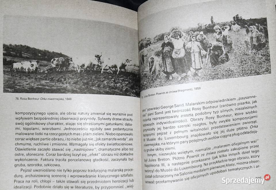 Akademizm Maria Porzęcka miękka lubelskie Chełm sprzedam