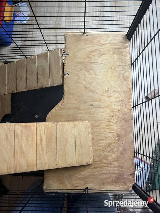 Klatka gryzonii duża szczur szczurów szynszyli śląskie Jaworzno
