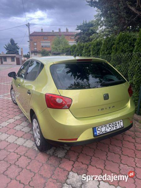 Seat Ibiza 2009 12 benzyna Motoryzacja