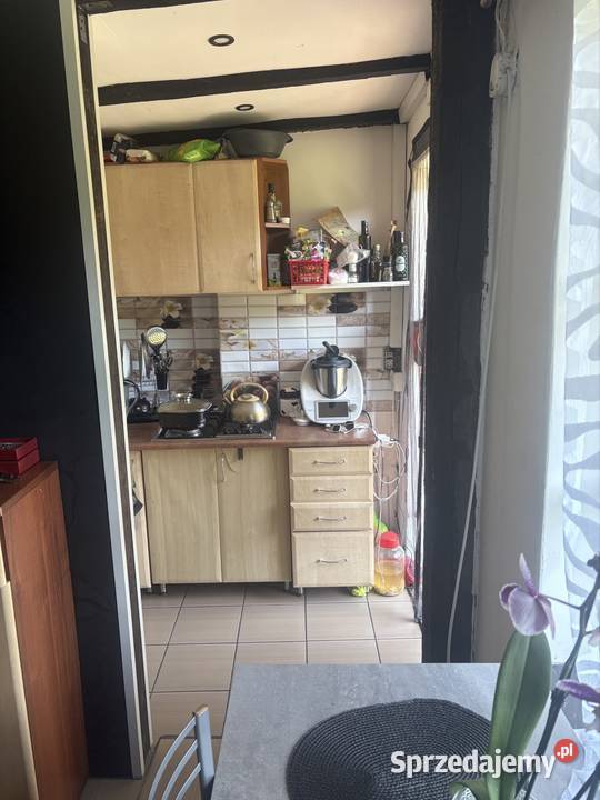 działka rekreacyjna ROD Zacisze w Mikołowie Mikołów