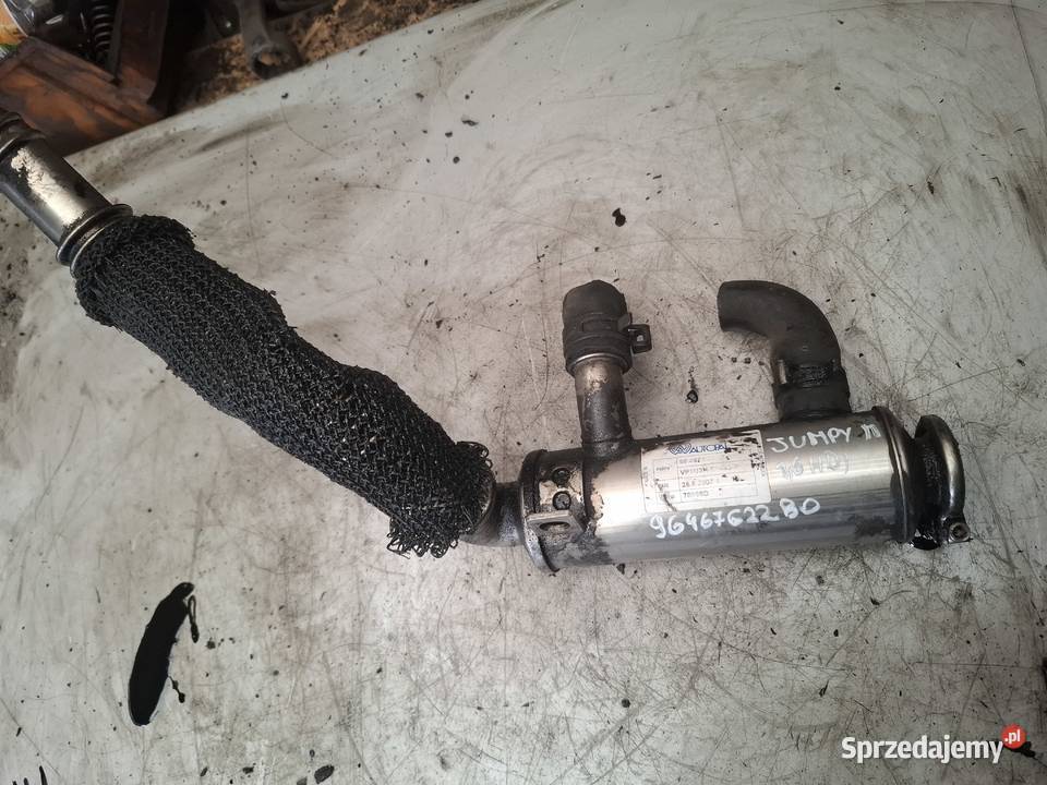 CITROEN PEUGEOT 16 HDI mazda ford chłodnia Kielce