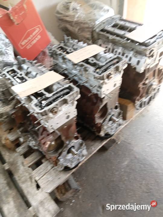 Silnik 2022 bluehdi jumperboxer Konin