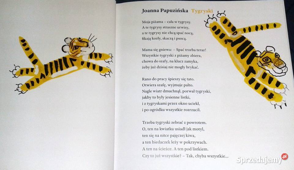 Pierwsze czytanki J Wilkoń R Leszczyński i inni Chełm sprzedam