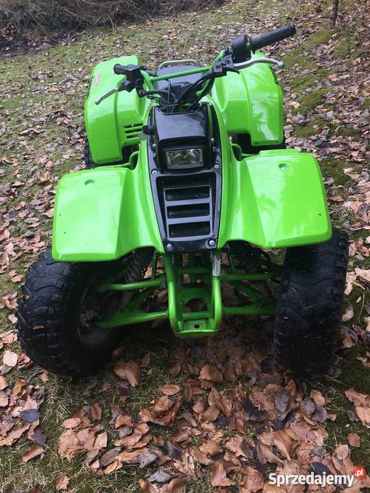 Kawasaki KFX 300 Niedźwiedź