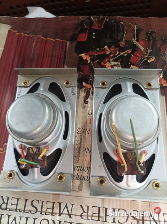 Isophon niemieckie głośniki wysokotonowe Płock