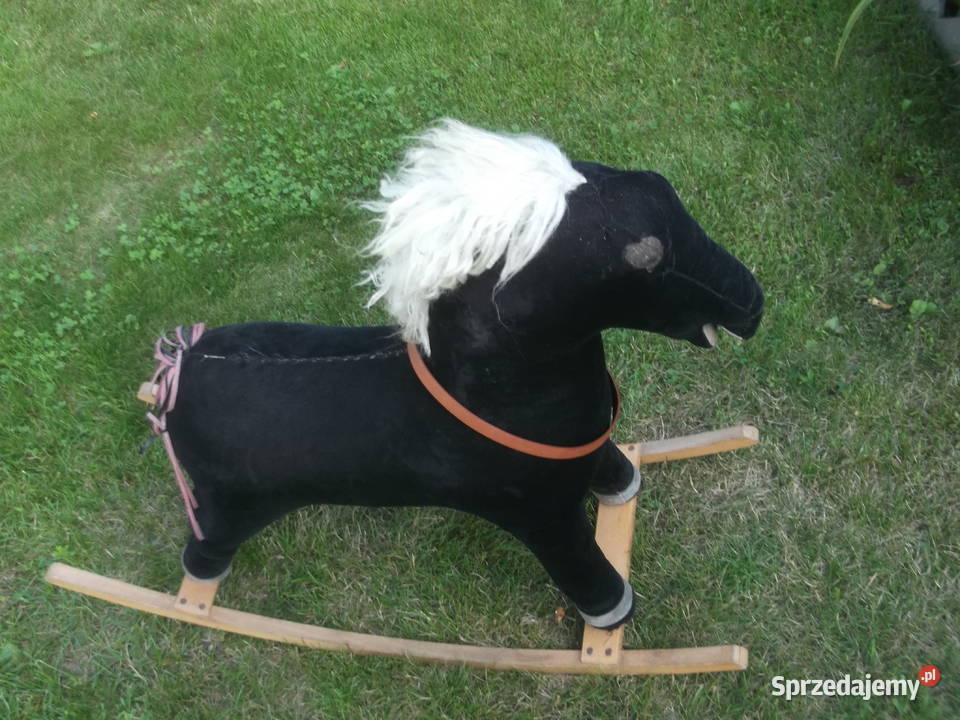 Konik na biegunach PRL dolnośląskie Wrocław