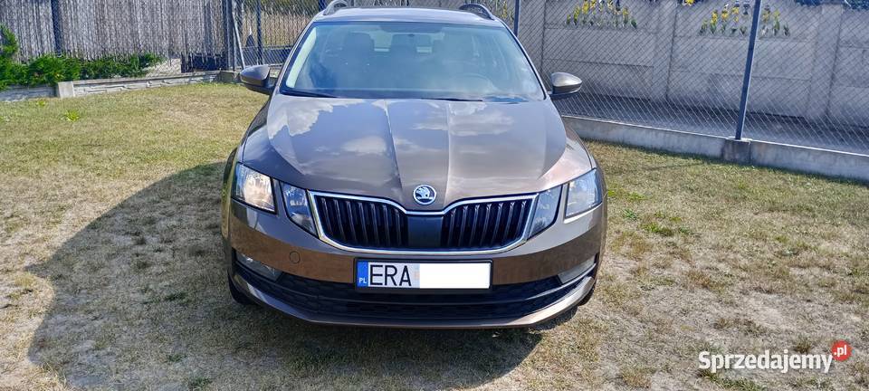Skoda Octavia 16 TDI 115 2019 Mega Auto Radomsko