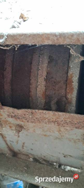 Śrutownik kamienny Brzeziny