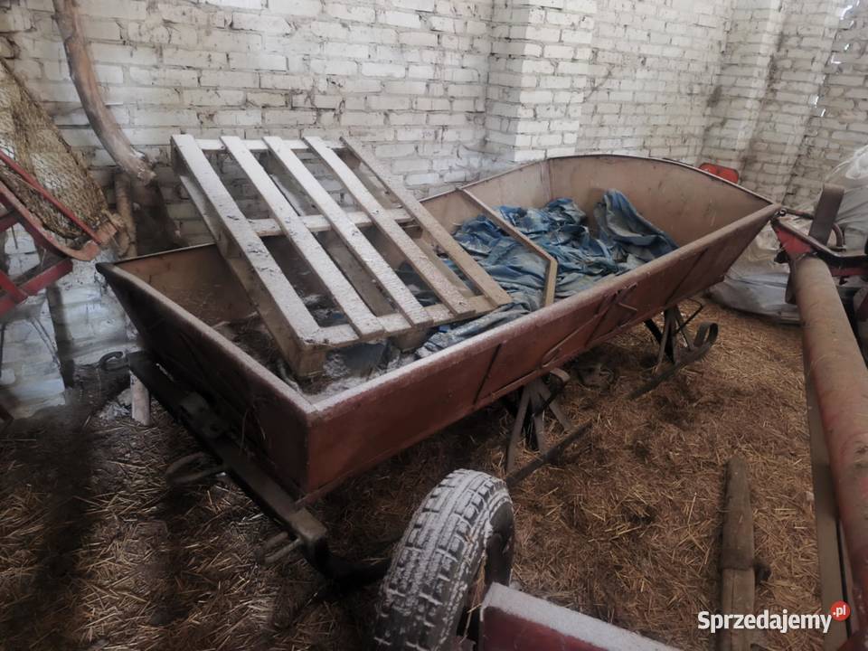 Sanie konne Bogusław