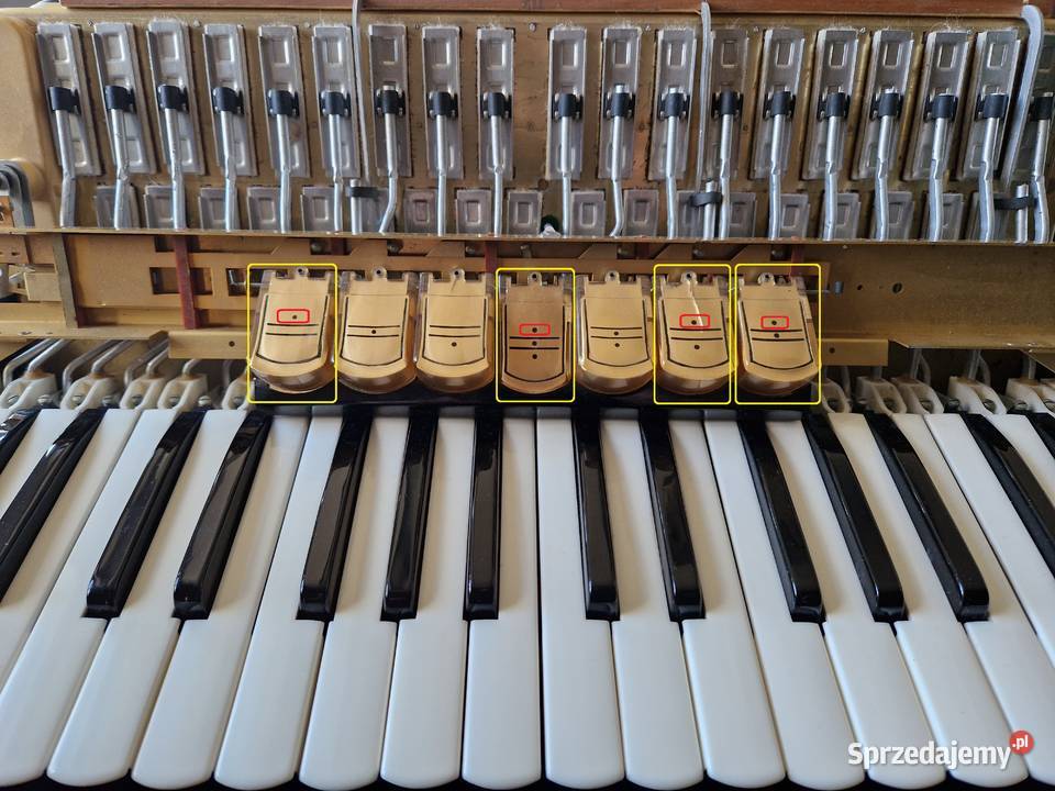 Sprzedam Akordeon HOHNER Lucia IIIP 96 basowy z Jasienica