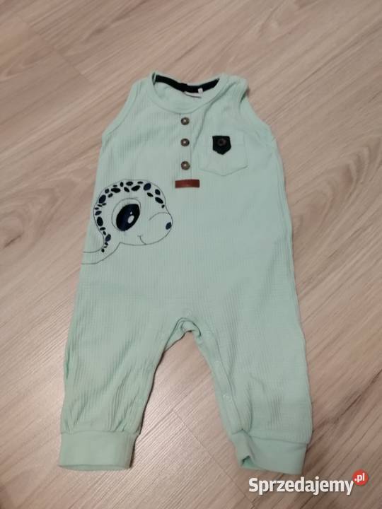 Pajacyk warmińsko-mazurskie