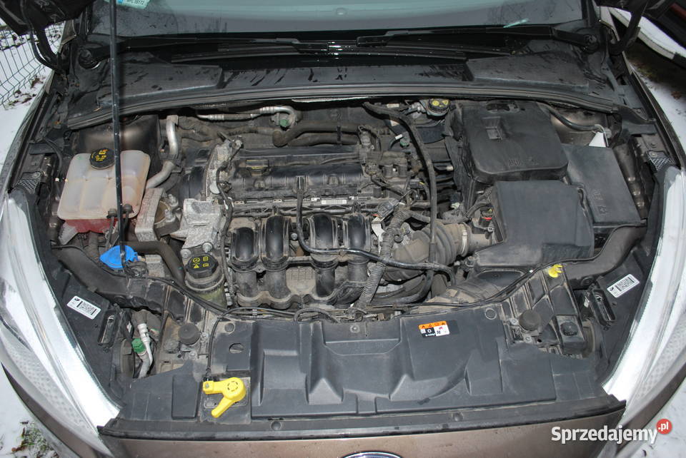 Ford Focus mk III krajowy i bezwypadkowy Focus dolnośląskie Wisznia Mała sprzedam