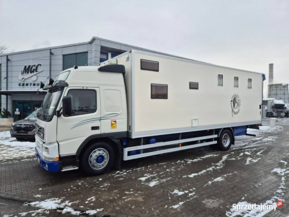 Volvo FM7 DO BYDŁA I KONI Volvo FM 7 DO PRZEWOZU Łaziska Górne