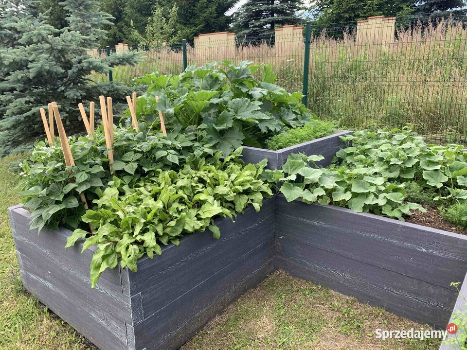 Skrzynia podwyższone grządki podwyższona donica Rzeszów