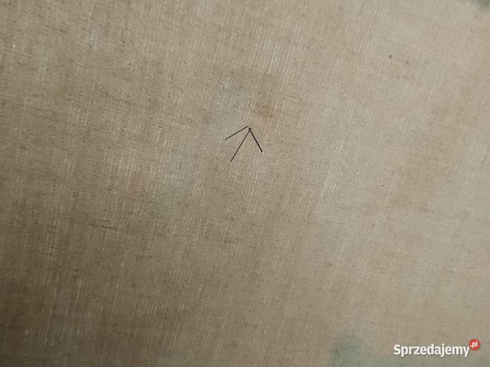 Obraz olejdny3DDzieci pies wielokolorowy Obrazki i obrazy