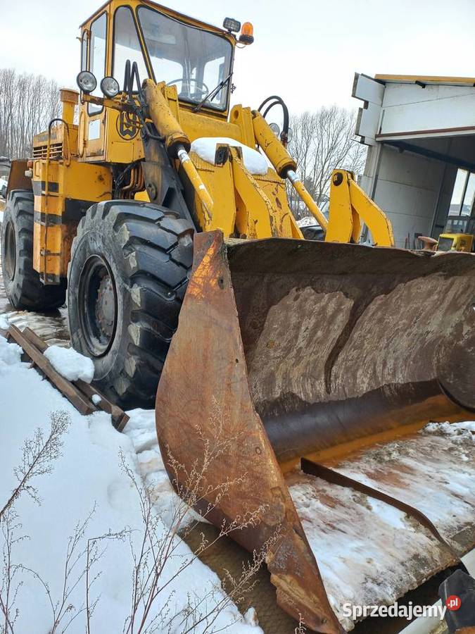 fadroma nie podkarpackie Studzian